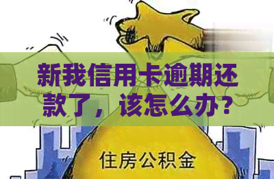 新我信用卡逾期还款了，该怎么办？nn关键词：信用卡、逾期、还款、怎么办