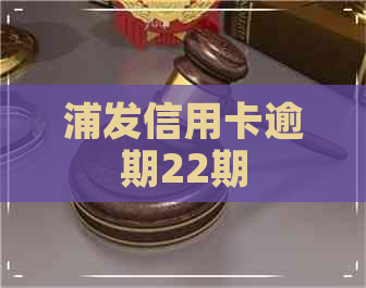 浦发信用卡逾期22期