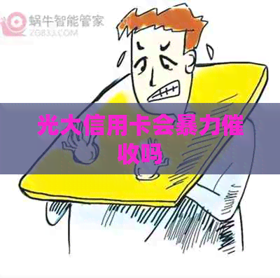 光大信用卡会吗