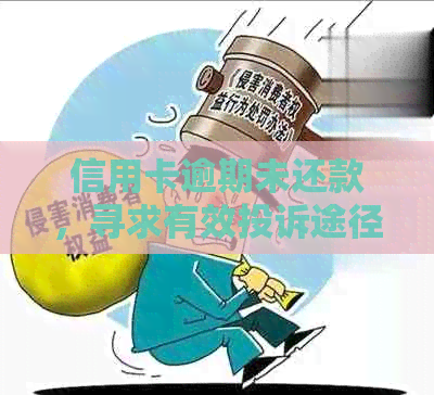 信用卡逾期未还款，寻求有效投诉途径及应对策略