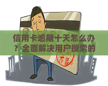 信用卡逾期十天怎么办？全面解决用户搜索的疑问和应对策略