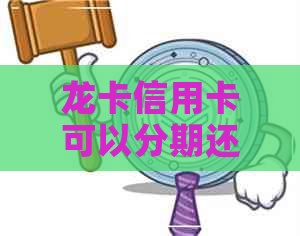 龙卡信用卡可以分期还