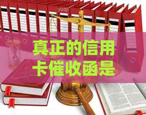 真正的信用卡函是什么样：格式、内容与章要求，2020年最新规定解析