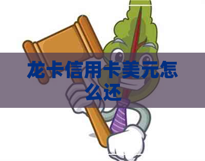 龙卡信用卡美元怎么还