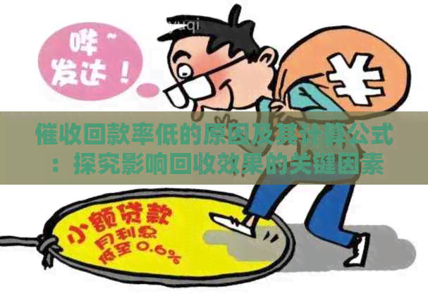 回款率低的原因及其计算公式：探究影响回收效果的关键因素