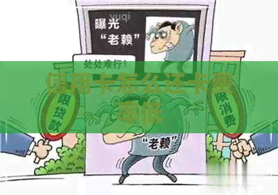 信用卡怎么还卡费率低