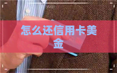怎么还信用卡美金