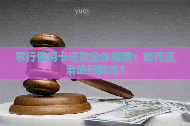 农行信用卡还款操作指南：如何还清逾期款项？