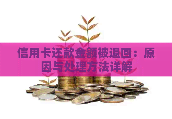 信用卡还款金额被退回：原因与处理方法详解