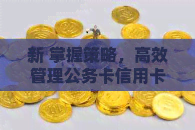 新 掌握策略，高效管理公务卡信用卡欠款，实现债务清零