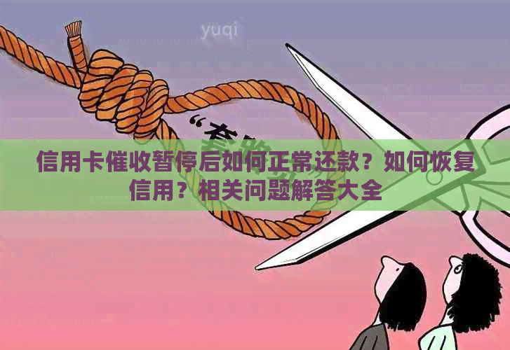 信用卡暂停后如何正常还款？如何恢复信用？相关问题解答大全