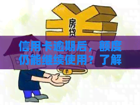 信用卡逾期后，额度仍能继续使用？了解这4个关键因素！