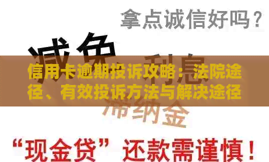 信用卡逾期投诉攻略：法院途径、有效投诉方法与解决途径全方位解析