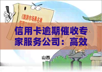 信用卡逾期专家服务公司：高效解决方案与招聘专员