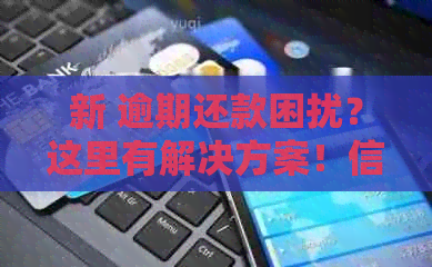 新 逾期还款困扰？这里有解决方案！信用卡信与息如何平？