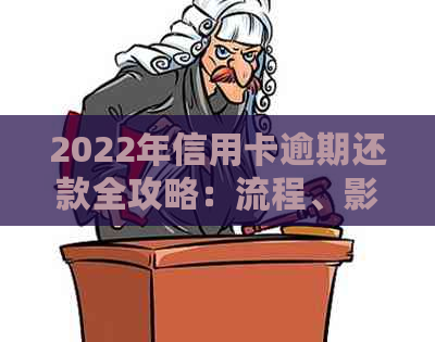 2022年信用卡逾期还款全攻略：流程、影响与解决方案