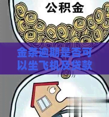 金条逾期是否可以坐飞机及贷款买房等疑问，金条逾期还能购物吗？