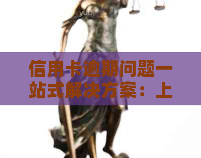 信用卡逾期问题一站式解决方案：上门专家指导