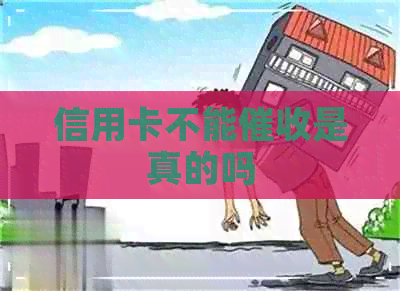 信用卡不能是真的吗