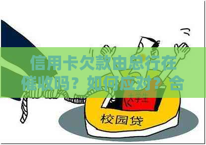 信用卡欠款由总行在吗？如何应对？合法吗？