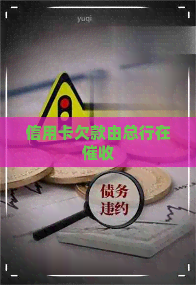信用卡欠款由总行在