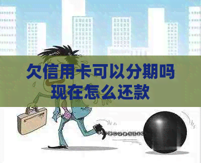 欠信用卡可以分期吗现在怎么还款