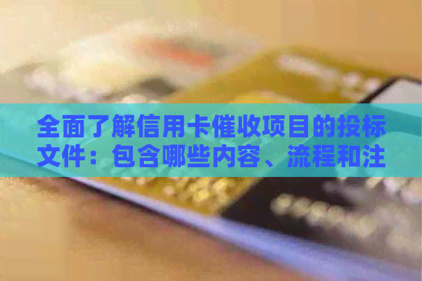 全面了解信用卡项目的投标文件：包含哪些内容、流程和注意事项？