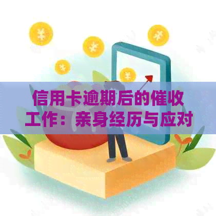 信用卡逾期后的工作：亲身经历与应对策略