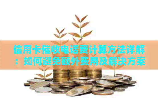 信用卡电话费计算方法详解：如何避免额外费用及解决方案