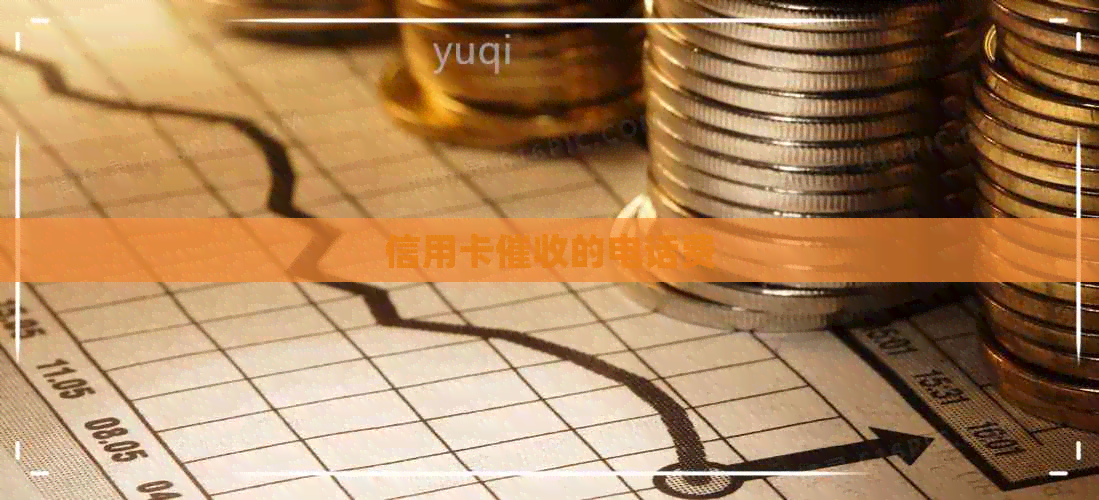 信用卡的电话费