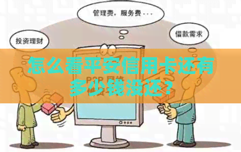 怎么看平安信用卡还有多少钱没还？