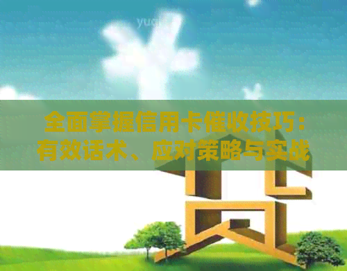 全面掌握信用卡技巧：有效话术、应对策略与实战案例分析