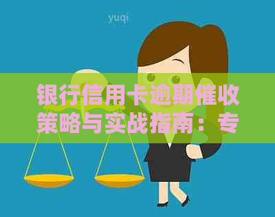 银行信用卡逾期策略与实战指南：专家资讯分享