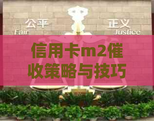 信用卡m2策略与技巧：有效应对逾期还款，降低用户负担