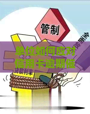 单位如何应对信用卡逾期问题：处理策略与实用资讯