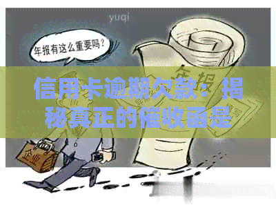 信用卡逾期欠款：揭秘真正的函是否包含公章资讯