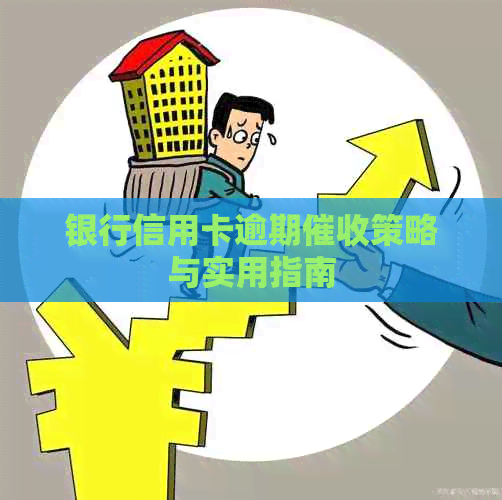 银行信用卡逾期策略与实用指南