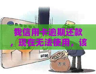 我信用卡逾期还款，现在无法使用，该如何解决？