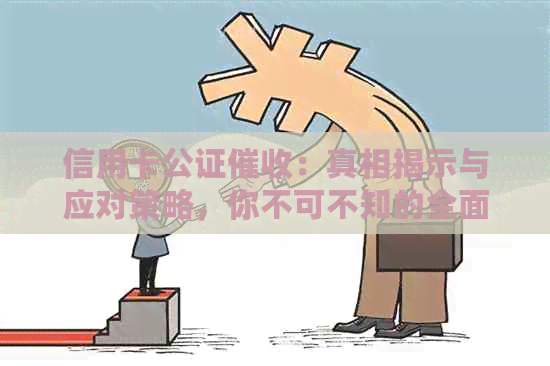信用卡公证：真相揭示与应对策略，你不可不知的全面指南