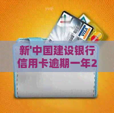 新'中国建设银行信用卡逾期一年22000元：处理策略与建议'
