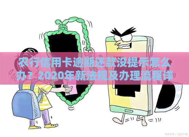 农行信用卡逾期还款没提示怎么办？2020年新法规及办理流程详解