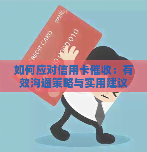 如何应对信用卡：有效沟通策略与实用建议，避免恶言相向