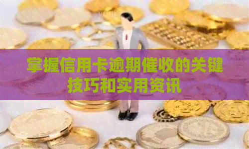 掌握信用卡逾期的关键技巧和实用资讯