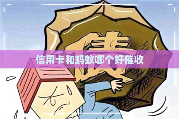 信用卡和蚂蚁哪个好