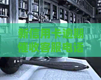 新信用卡逾期客服电话投诉攻略，如何有效处理？
