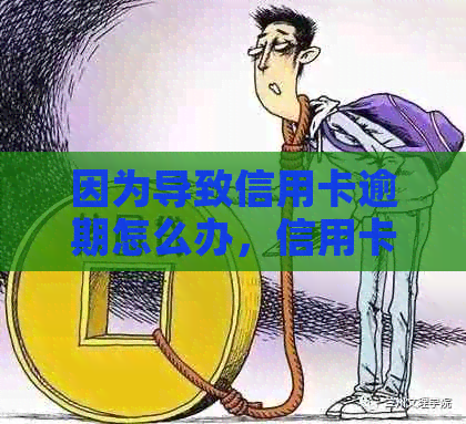 因为导致信用卡逾期怎么办，信用卡没有还怎么办？