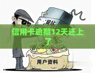 信用卡逾期12天还上了