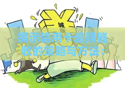 揭示信用卡逾期的策略与方法：防范诈骗行为，保障用户权益