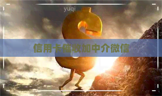 信用卡加中介微信