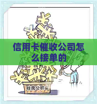 信用卡公司怎么接单的